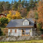gite - Les Chalets Du Lac Chambon - CHAMBON SUR LAC - Puy-de-Dôme
