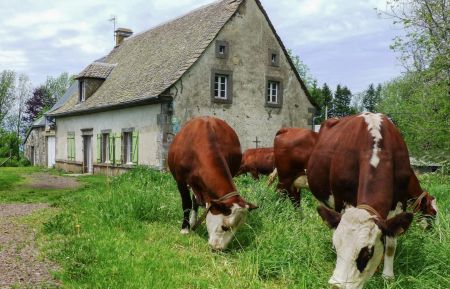 G&icirc;te n&deg;63G100472 Tauves - Puy-de-D&ocirc;me - photo