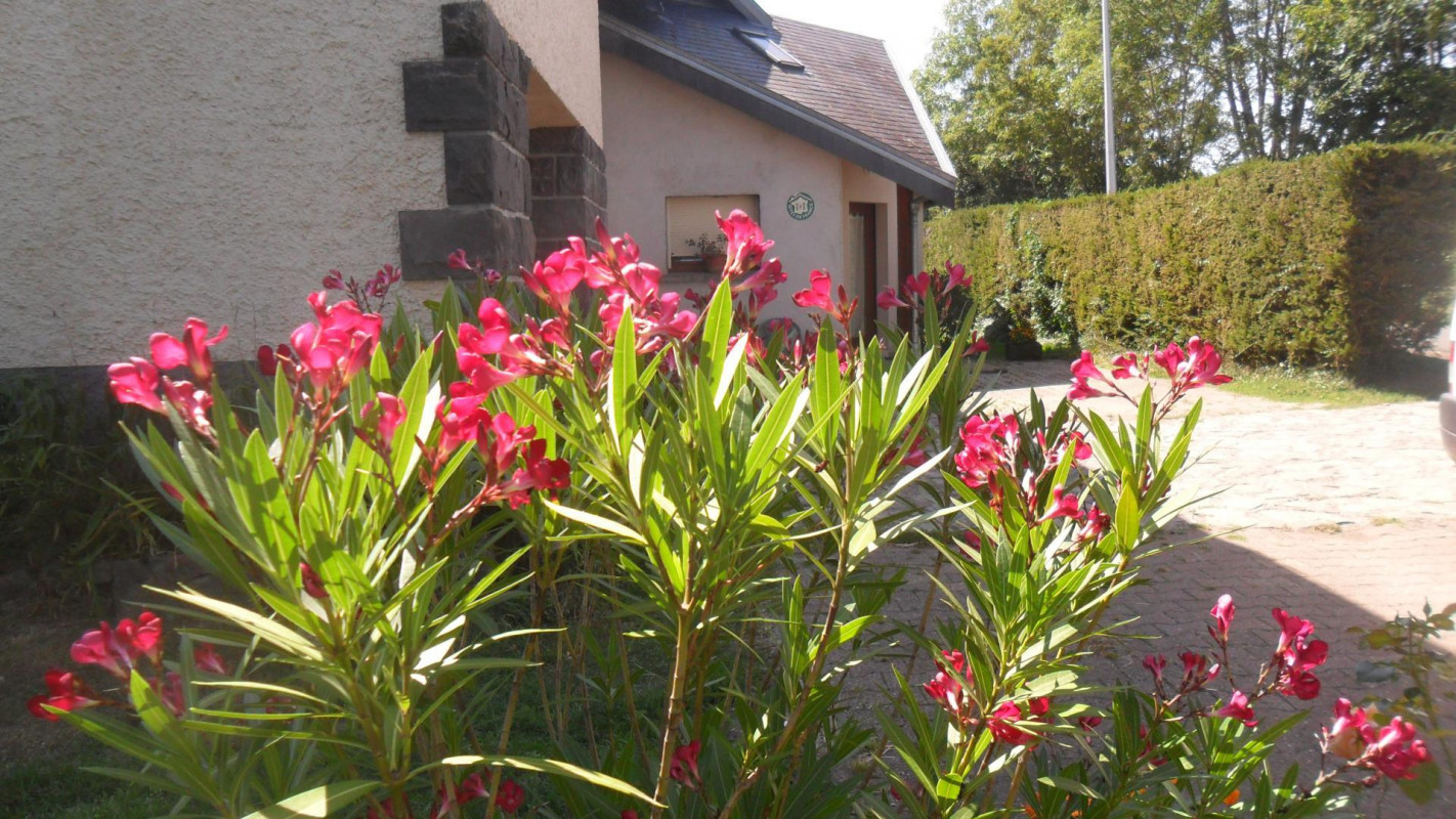 photo 0
