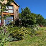 Le pignon