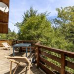 gite - Le chalet - SAINT ANTHEME - Puy-de-D&ocirc;me